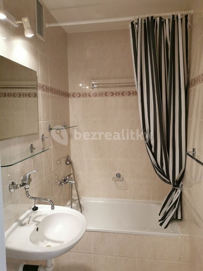 1 bedroom with open-plan kitchen flat to rent, 46 m², Roškotova, Prague, Prague 1 bedroom with open-plan kitchen flat to rent, 46 m², Roškotova, Prague, Prague