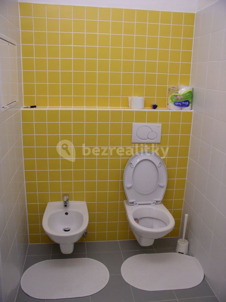 1 bedroom with open-plan kitchen flat to rent, 64 m², Leitnerova, Brno, Jihomoravský Region 1 bedroom with open-plan kitchen flat to rent, 64 m², Leitnerova, Brno, Jihomoravský Region