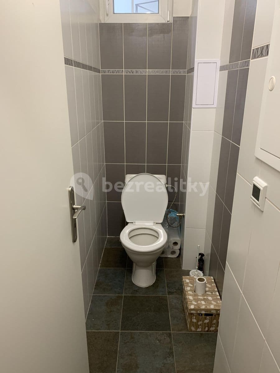1 bedroom with open-plan kitchen flat to rent, 46 m², Na Spojce, Prague, Prague 1 bedroom with open-plan kitchen flat to rent, 46 m², Na Spojce, Prague, Prague