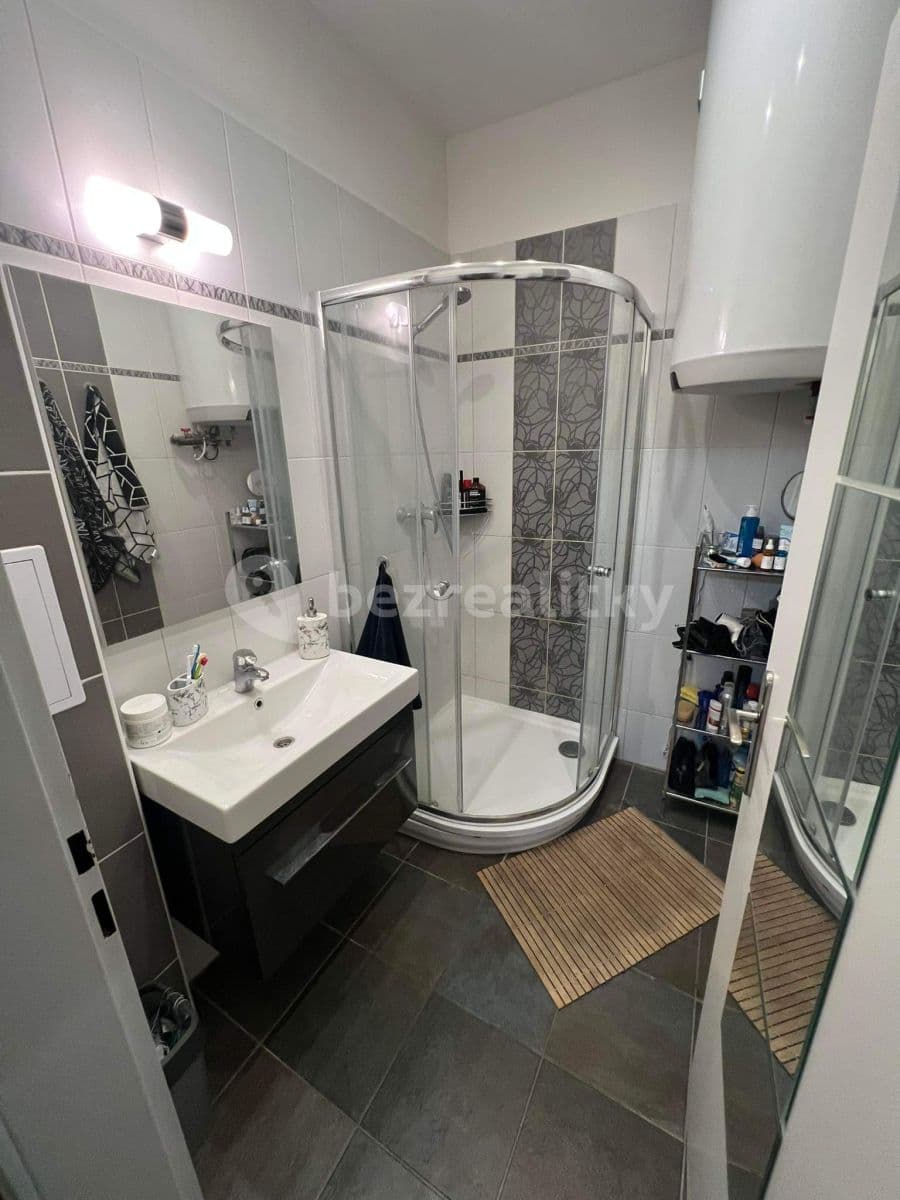 1 bedroom with open-plan kitchen flat to rent, 46 m², Na Spojce, Prague, Prague 1 bedroom with open-plan kitchen flat to rent, 46 m², Na Spojce, Prague, Prague
