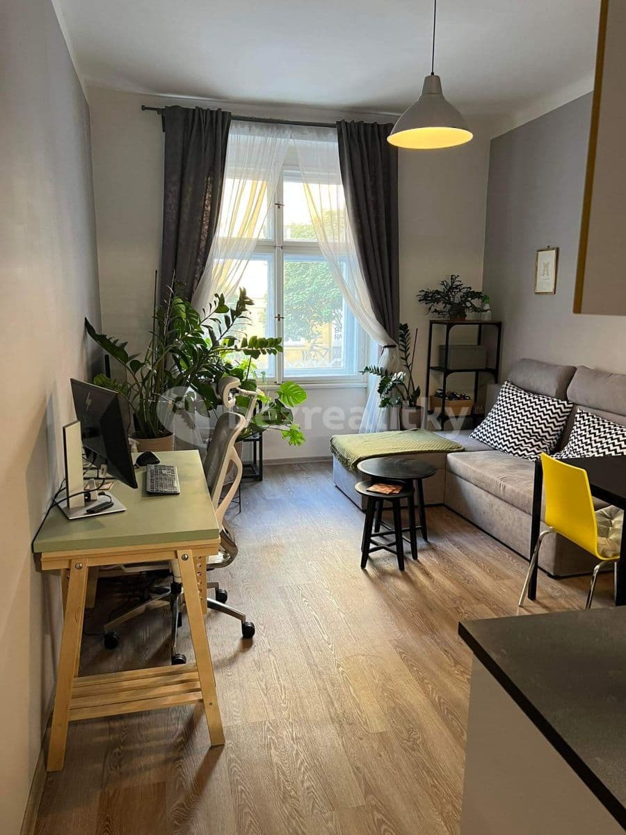 1 bedroom with open-plan kitchen flat to rent, 46 m², Na Spojce, Prague, Prague 1 bedroom with open-plan kitchen flat to rent, 46 m², Na Spojce, Prague, Prague
