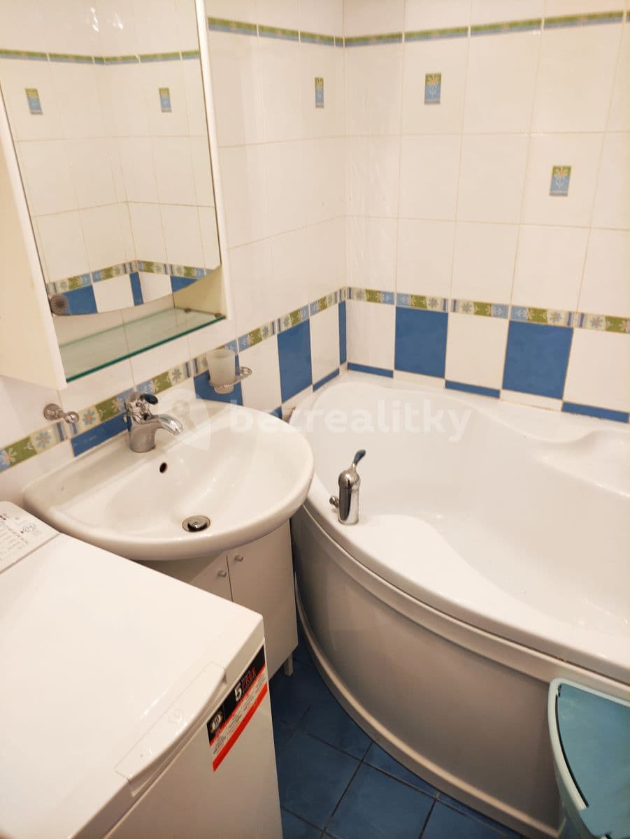 1 bedroom with open-plan kitchen flat to rent, 45 m², Ohradní, Prague, Prague 1 bedroom with open-plan kitchen flat to rent, 45 m², Ohradní, Prague, Prague