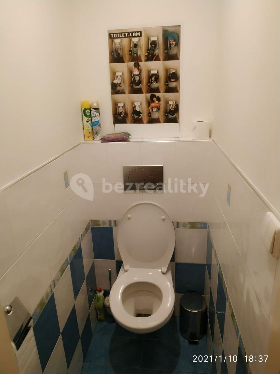 1 bedroom with open-plan kitchen flat to rent, 45 m², Ohradní, Prague, Prague 1 bedroom with open-plan kitchen flat to rent, 45 m², Ohradní, Prague, Prague