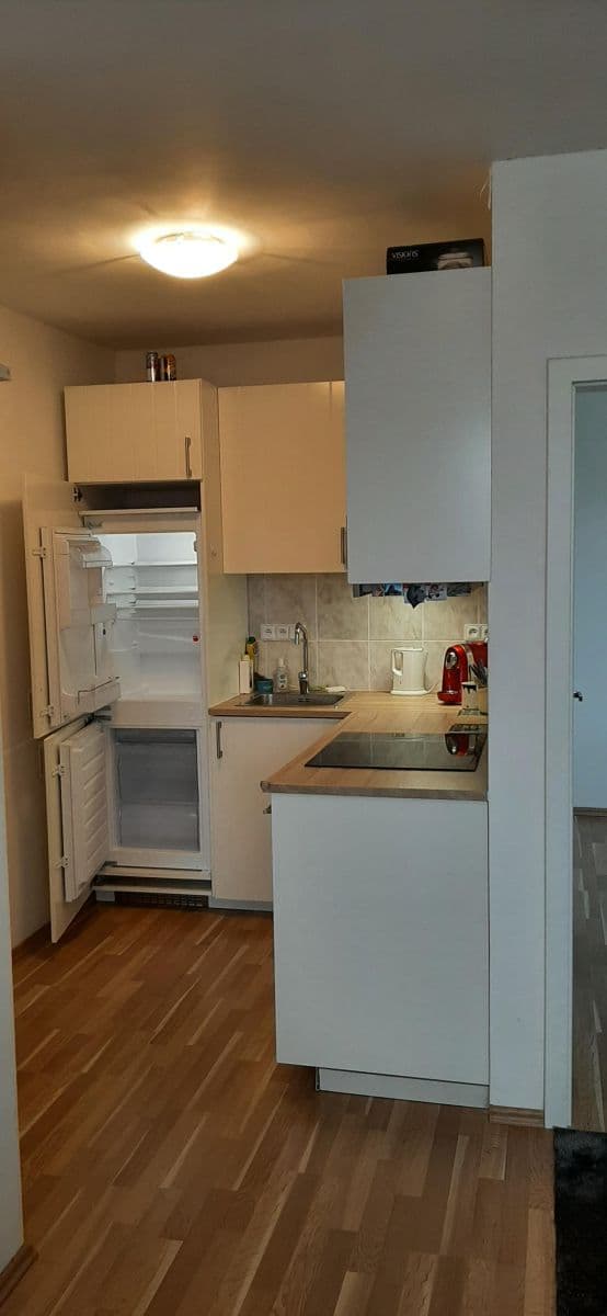 1 bedroom with open-plan kitchen flat to rent, 42 m², Laudova, Prague, Prague 1 bedroom with open-plan kitchen flat to rent, 42 m², Laudova, Prague, Prague