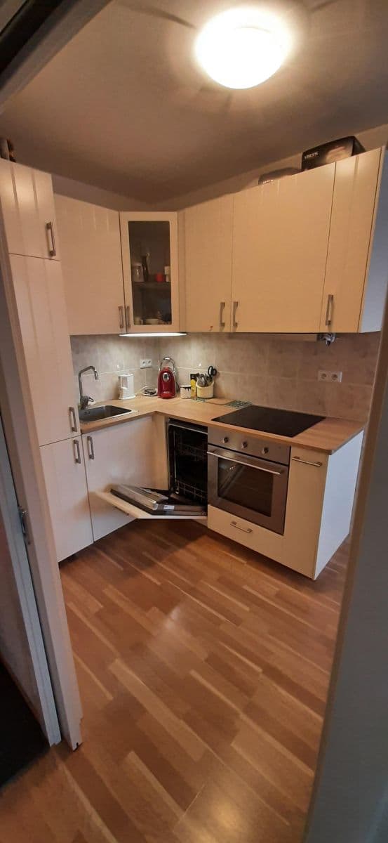 1 bedroom with open-plan kitchen flat to rent, 42 m², Laudova, Prague, Prague 1 bedroom with open-plan kitchen flat to rent, 42 m², Laudova, Prague, Prague