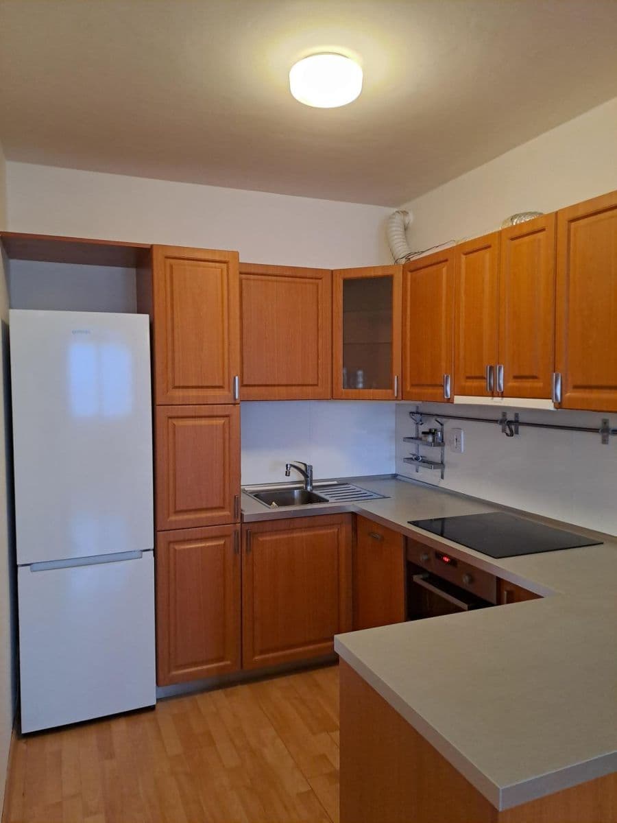 1 bedroom with open-plan kitchen flat to rent, 70 m², Kodymova, Prague, Prague 1 bedroom with open-plan kitchen flat to rent, 70 m², Kodymova, Prague, Prague