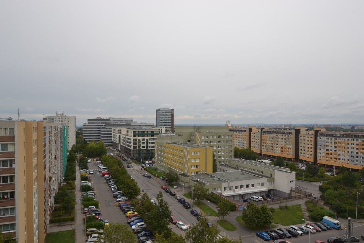 1 bedroom with open-plan kitchen flat to rent, 64 m², Petržílkova, Prague, Prague 1 bedroom with open-plan kitchen flat to rent, 64 m², Petržílkova, Prague, Prague