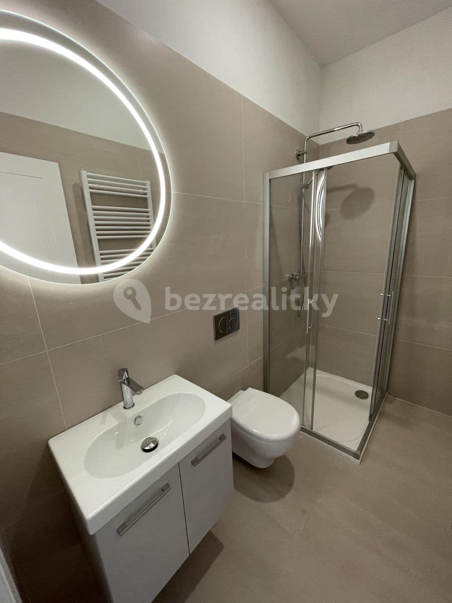 1 bedroom with open-plan kitchen flat to rent, 37 m², Kmochova, Prague, Prague 1 bedroom with open-plan kitchen flat to rent, 37 m², Kmochova, Prague, Prague