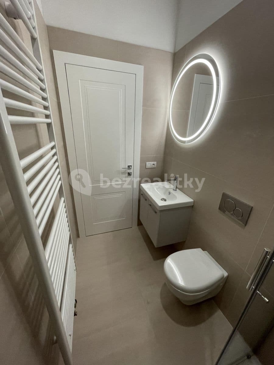 1 bedroom with open-plan kitchen flat to rent, 37 m², Kmochova, Prague, Prague 1 bedroom with open-plan kitchen flat to rent, 37 m², Kmochova, Prague, Prague