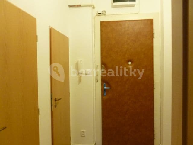 1 bedroom with open-plan kitchen flat to rent, 49 m², 5. května, Prague, Prague 1 bedroom with open-plan kitchen flat to rent, 49 m², 5. května, Prague, Prague