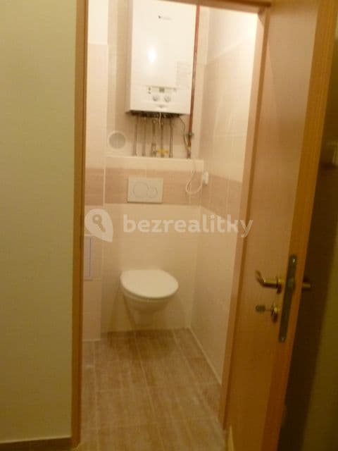 1 bedroom with open-plan kitchen flat to rent, 49 m², 5. května, Prague, Prague 1 bedroom with open-plan kitchen flat to rent, 49 m², 5. května, Prague, Prague