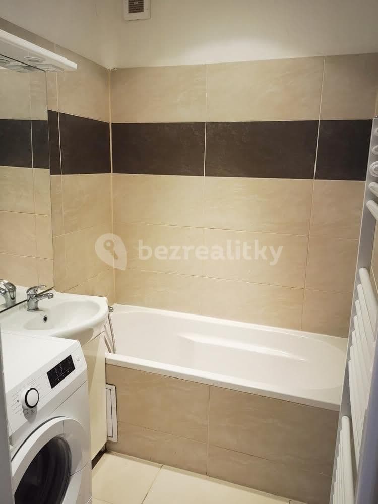 1 bedroom with open-plan kitchen flat to rent, 41 m², Prostřední, Prague, Prague 1 bedroom with open-plan kitchen flat to rent, 41 m², Prostřední, Prague, Prague