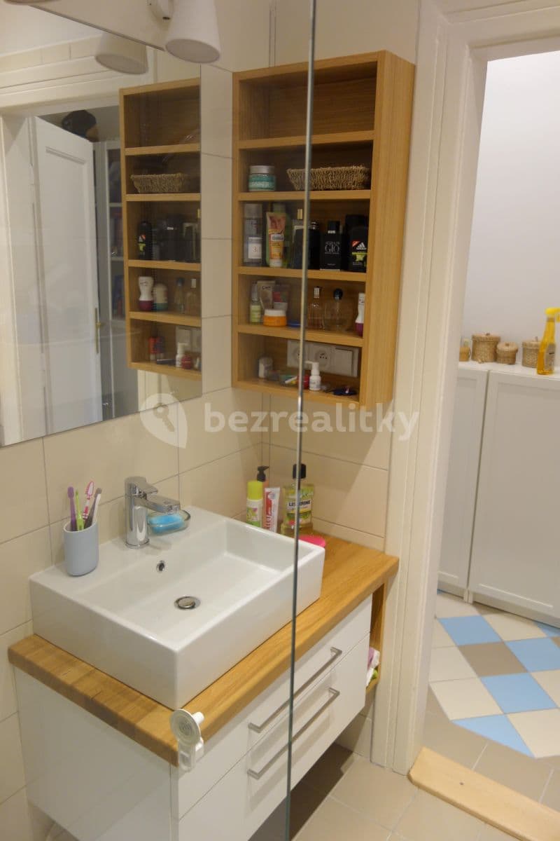 1 bedroom with open-plan kitchen flat to rent, 50 m², Nad Popelkou, Prague, Prague 1 bedroom with open-plan kitchen flat to rent, 50 m², Nad Popelkou, Prague, Prague