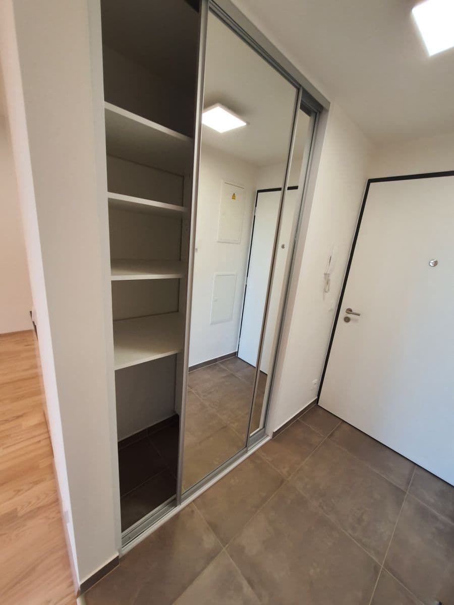 1 bedroom with open-plan kitchen flat to rent, 62 m², Mezi Vodami, Prague, Prague 1 bedroom with open-plan kitchen flat to rent, 62 m², Mezi Vodami, Prague, Prague