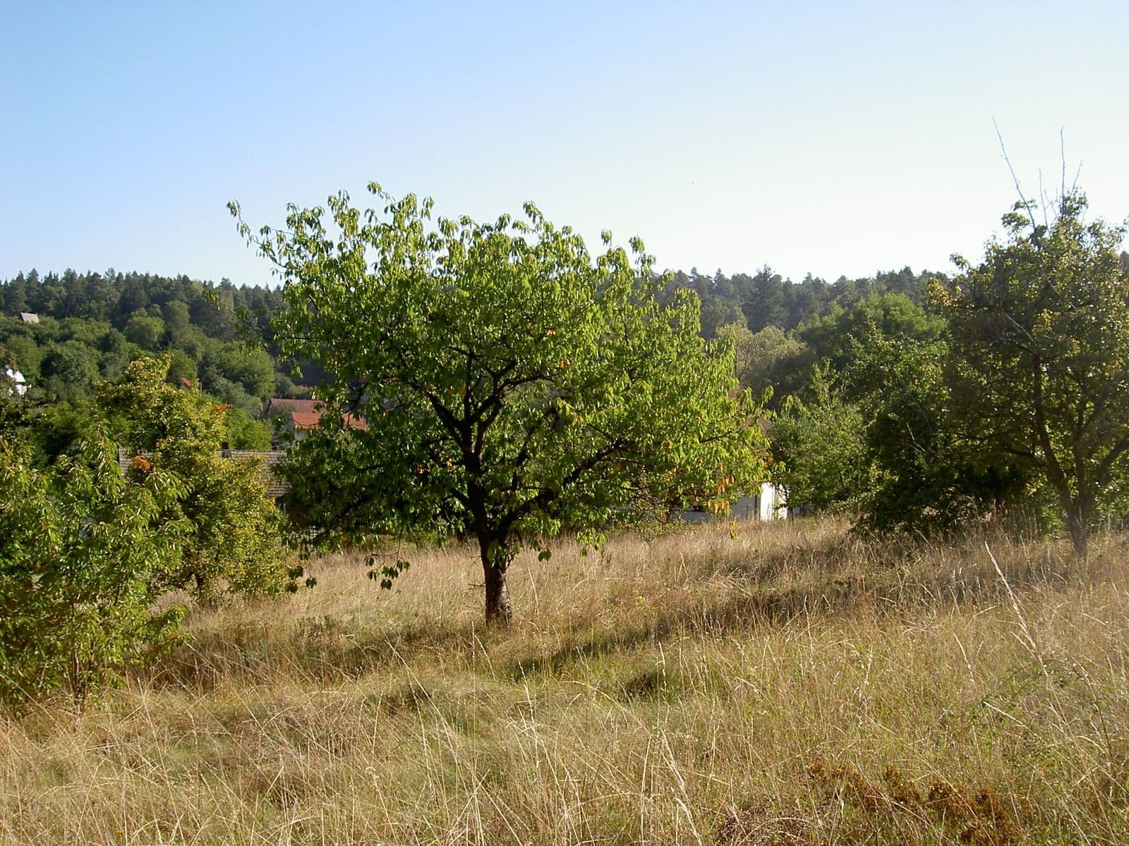 plot for sale, 1,171 m², Obecní, Březí, Středočeský Region plot for sale, 1,171 m², Obecní, Březí, Středočeský Region