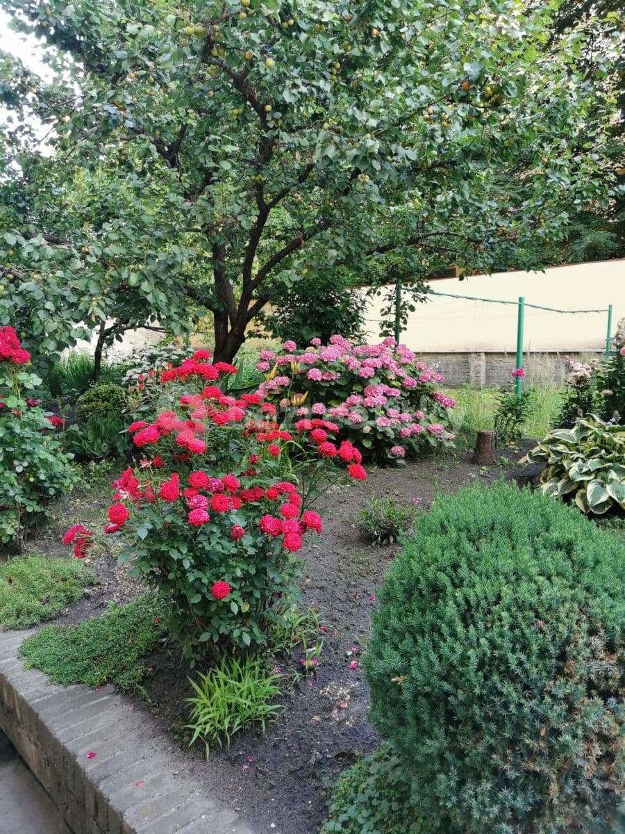 1 bedroom with open-plan kitchen flat to rent, 50 m², Sokolovská, Prague, Prague 1 bedroom with open-plan kitchen flat to rent, 50 m², Sokolovská, Prague, Prague