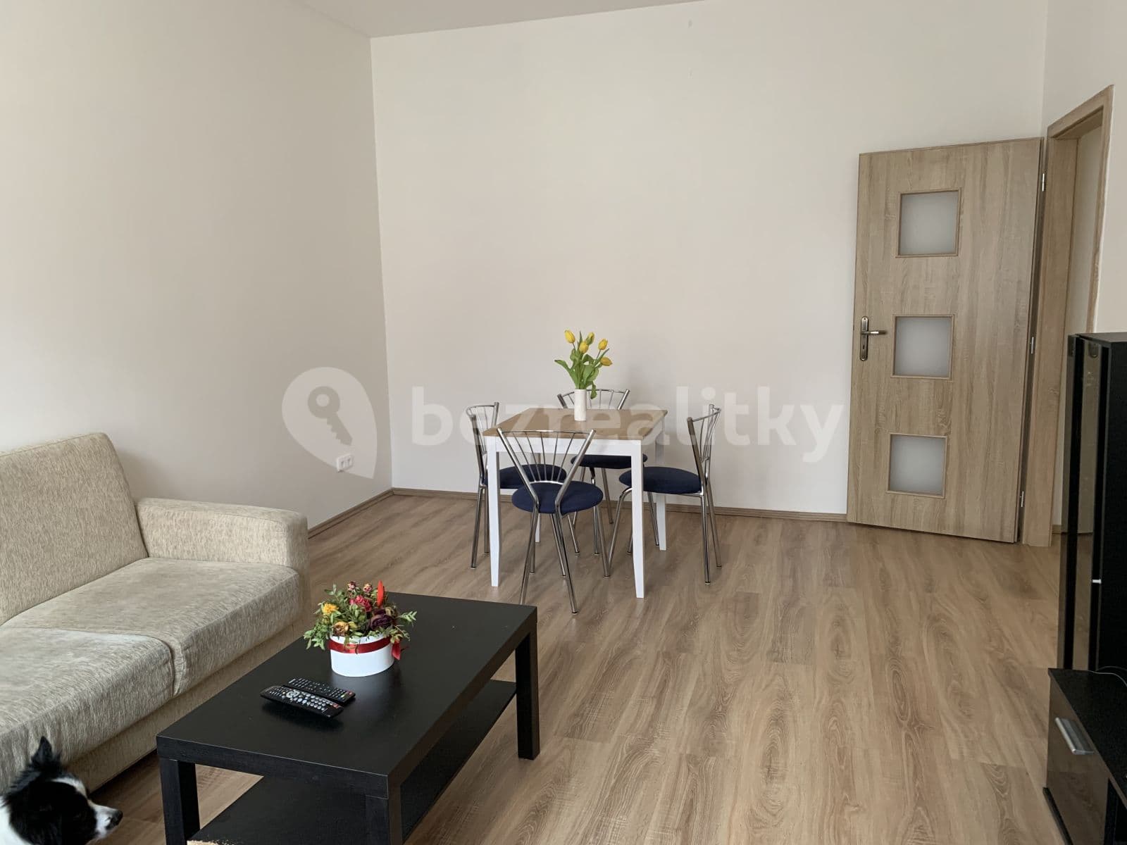 1 bedroom with open-plan kitchen flat to rent, 44 m², Rostovská, Prague, Prague 1 bedroom with open-plan kitchen flat to rent, 44 m², Rostovská, Prague, Prague