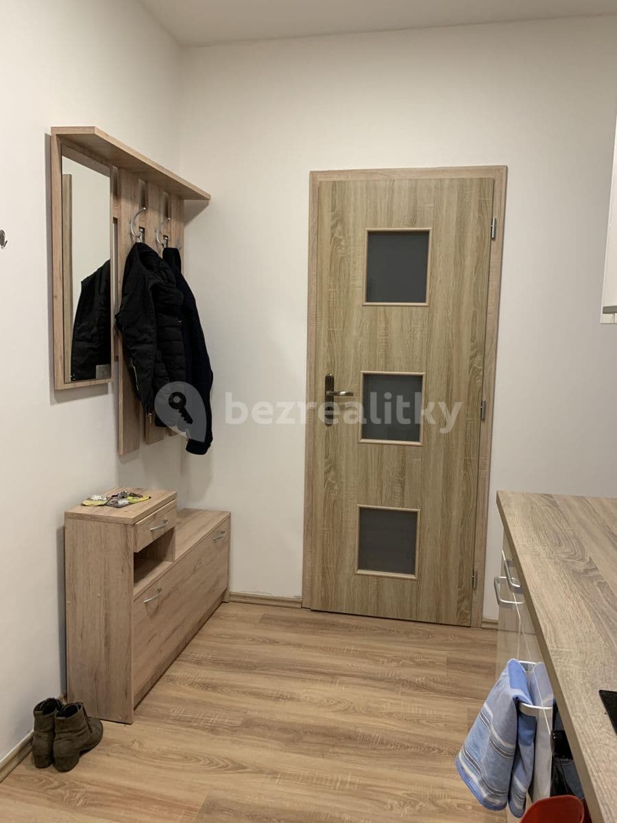 1 bedroom with open-plan kitchen flat to rent, 44 m², Rostovská, Prague, Prague 1 bedroom with open-plan kitchen flat to rent, 44 m², Rostovská, Prague, Prague