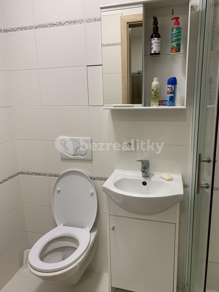 1 bedroom with open-plan kitchen flat to rent, 44 m², Rostovská, Prague, Prague 1 bedroom with open-plan kitchen flat to rent, 44 m², Rostovská, Prague, Prague