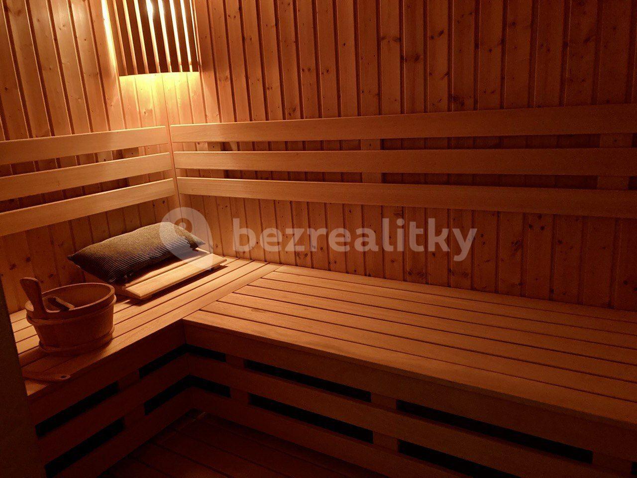 1 bedroom with open-plan kitchen flat to rent, 80 m², Albánská, Prague, Prague