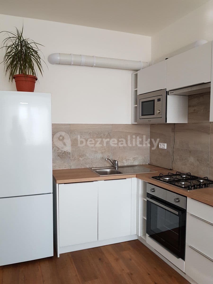 1 bedroom with open-plan kitchen flat to rent, 50 m², Pod Altánem, Prague, Prague 1 bedroom with open-plan kitchen flat to rent, 50 m², Pod Altánem, Prague, Prague