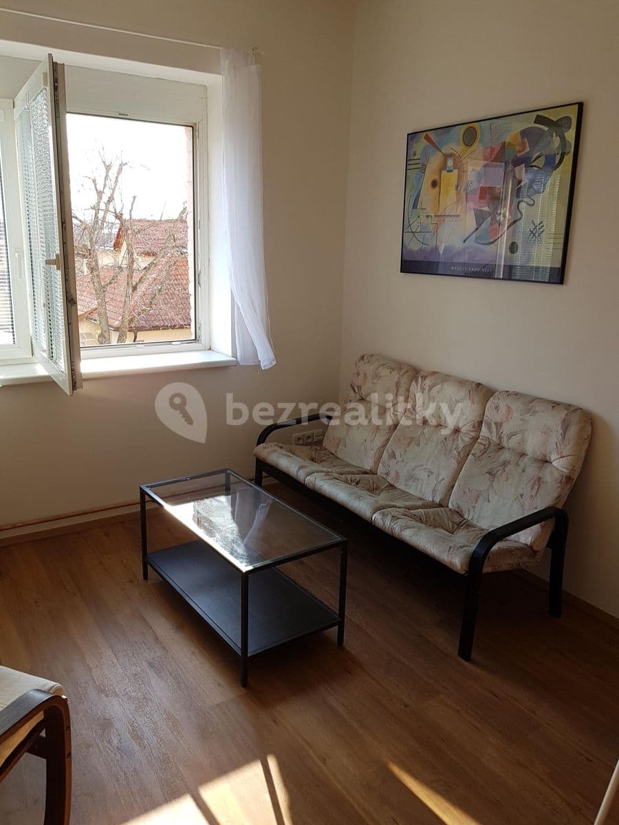 1 bedroom with open-plan kitchen flat to rent, 50 m², Pod Altánem, Prague, Prague 1 bedroom with open-plan kitchen flat to rent, 50 m², Pod Altánem, Prague, Prague