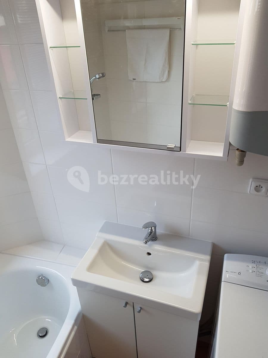 1 bedroom with open-plan kitchen flat to rent, 50 m², Pod Altánem, Prague, Prague 1 bedroom with open-plan kitchen flat to rent, 50 m², Pod Altánem, Prague, Prague