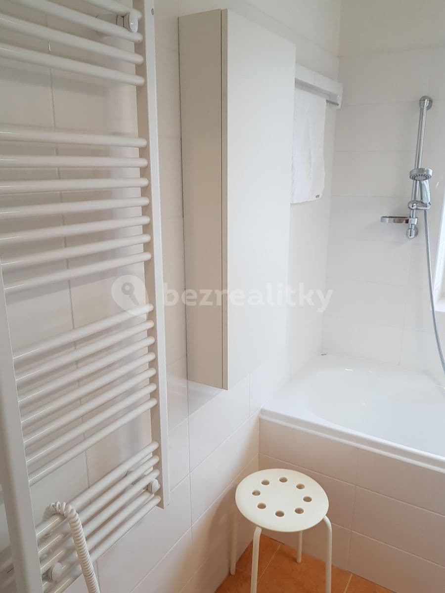 1 bedroom with open-plan kitchen flat to rent, 50 m², Pod Altánem, Prague, Prague 1 bedroom with open-plan kitchen flat to rent, 50 m², Pod Altánem, Prague, Prague