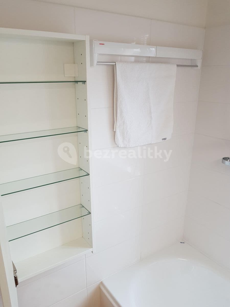 1 bedroom with open-plan kitchen flat to rent, 50 m², Pod Altánem, Prague, Prague 1 bedroom with open-plan kitchen flat to rent, 50 m², Pod Altánem, Prague, Prague