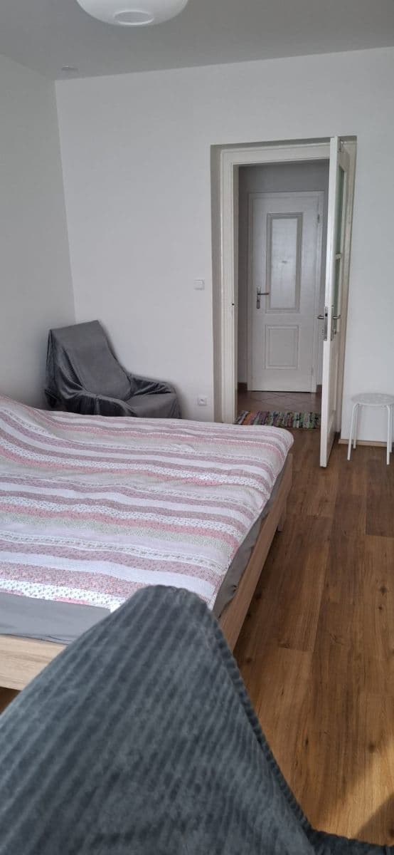 1 bedroom with open-plan kitchen flat to rent, 50 m², Pod Altánem, Prague, Prague 1 bedroom with open-plan kitchen flat to rent, 50 m², Pod Altánem, Prague, Prague