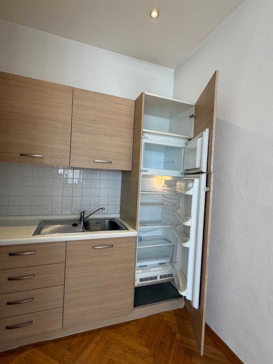 1 bedroom with open-plan kitchen flat to rent, 52 m², Ondříčkova, Prague, Prague 1 bedroom with open-plan kitchen flat to rent, 52 m², Ondříčkova, Prague, Prague