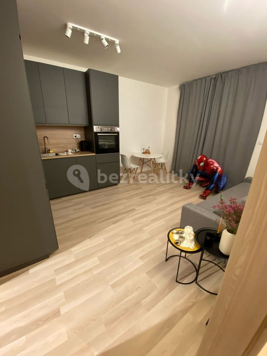 2 bedroom with open-plan kitchen flat to rent, 62 m², Klausova, Prague, Prague 2 bedroom with open-plan kitchen flat to rent, 62 m², Klausova, Prague, Prague