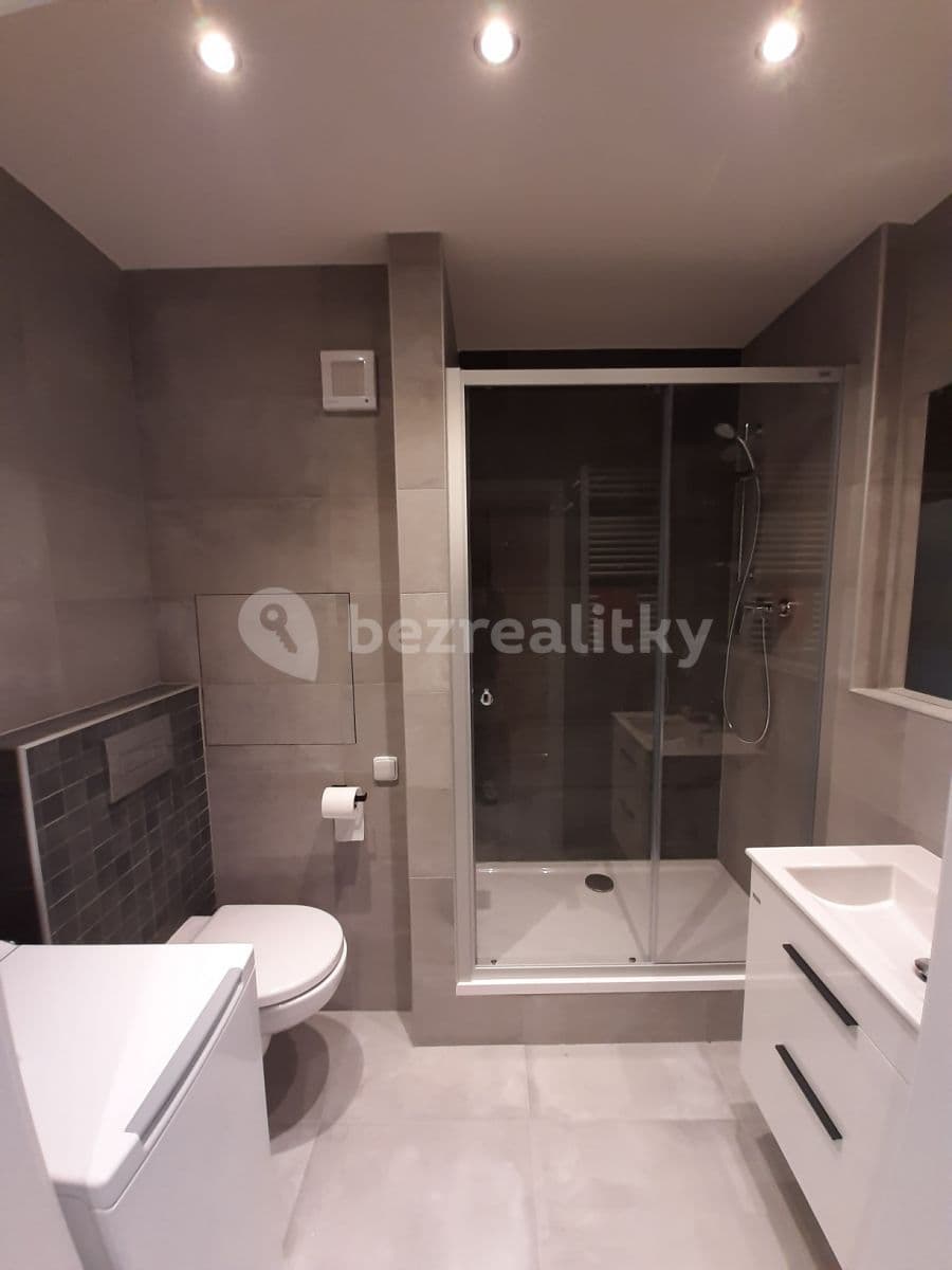1 bedroom with open-plan kitchen flat to rent, 43 m², Sezemínská, Prague, Prague 1 bedroom with open-plan kitchen flat to rent, 43 m², Sezemínská, Prague, Prague