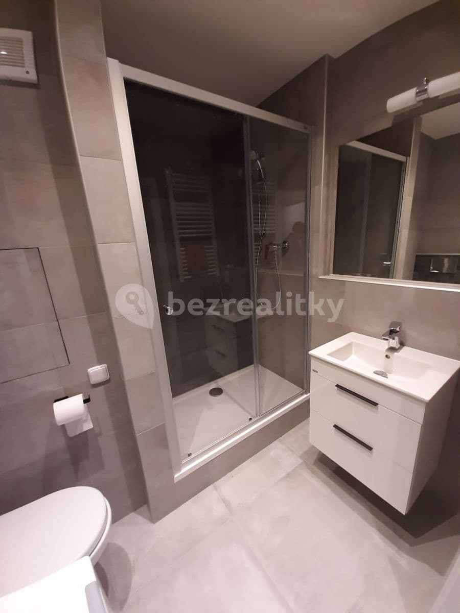 1 bedroom with open-plan kitchen flat to rent, 43 m², Sezemínská, Prague, Prague 1 bedroom with open-plan kitchen flat to rent, 43 m², Sezemínská, Prague, Prague