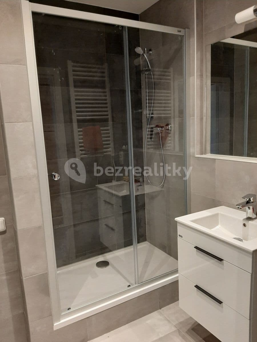 1 bedroom with open-plan kitchen flat to rent, 43 m², Sezemínská, Prague, Prague 1 bedroom with open-plan kitchen flat to rent, 43 m², Sezemínská, Prague, Prague