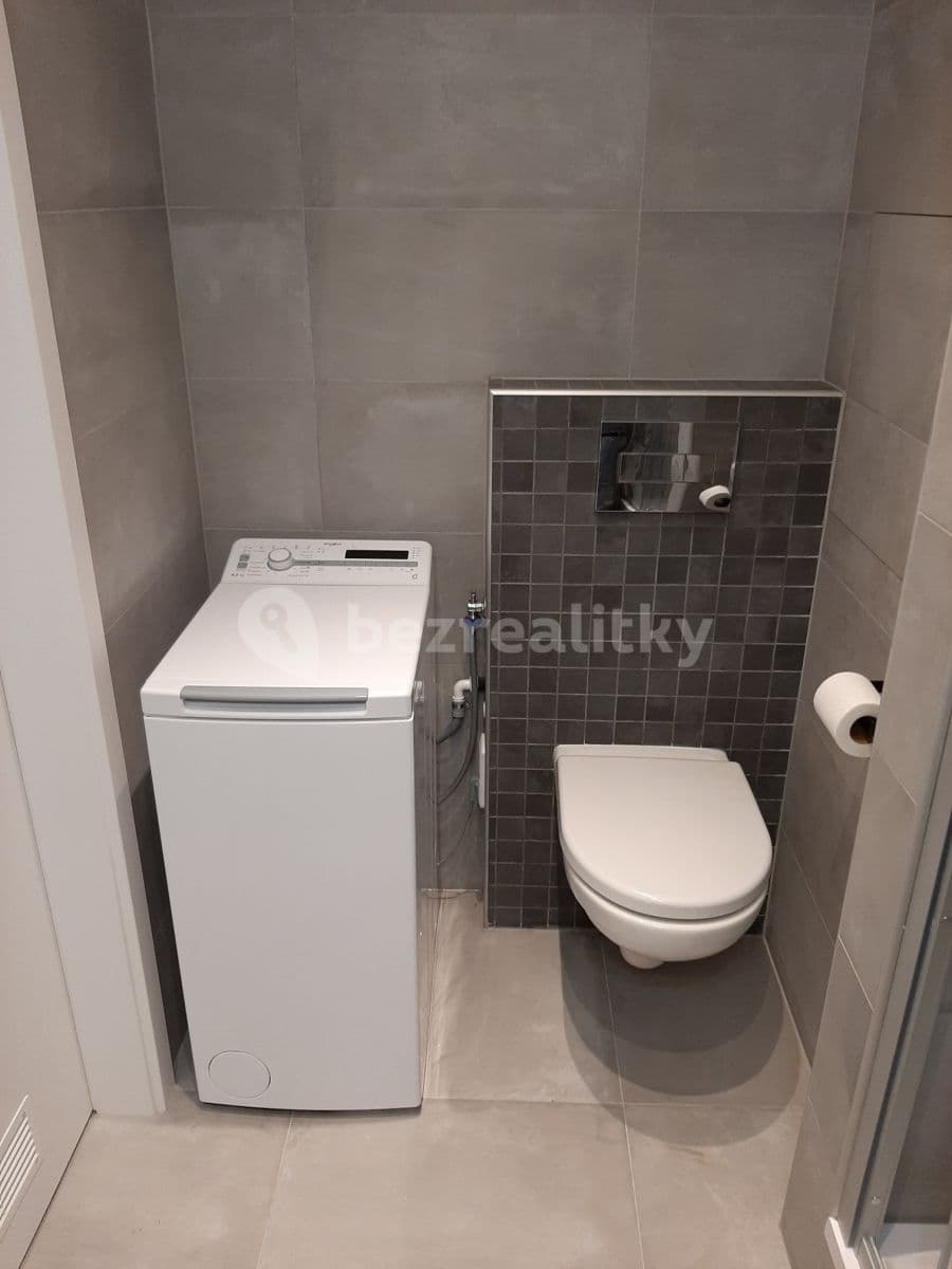 1 bedroom with open-plan kitchen flat to rent, 43 m², Sezemínská, Prague, Prague 1 bedroom with open-plan kitchen flat to rent, 43 m², Sezemínská, Prague, Prague