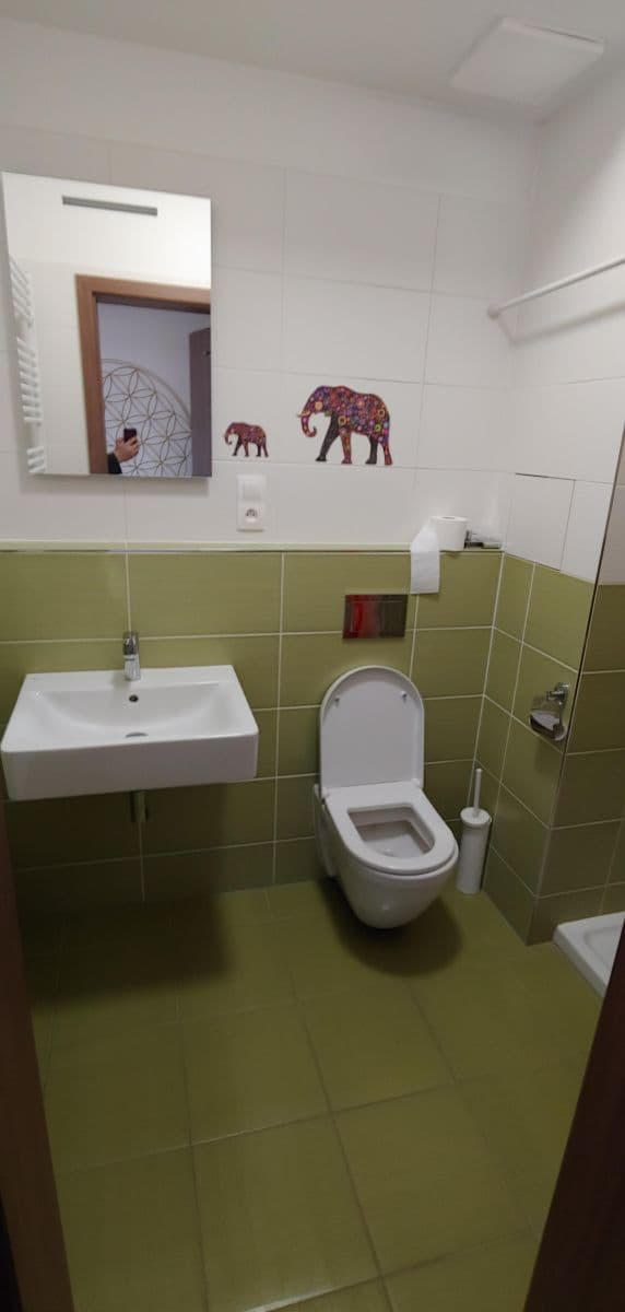 Studio flat to rent, 36 m², Nad Úžlabinou, Prague, Prague Studio flat to rent, 36 m², Nad Úžlabinou, Prague, Prague