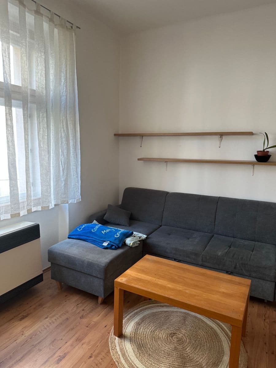 1 bedroom with open-plan kitchen flat to rent, 56 m², Krokova, Prague, Prague 1 bedroom with open-plan kitchen flat to rent, 56 m², Krokova, Prague, Prague
