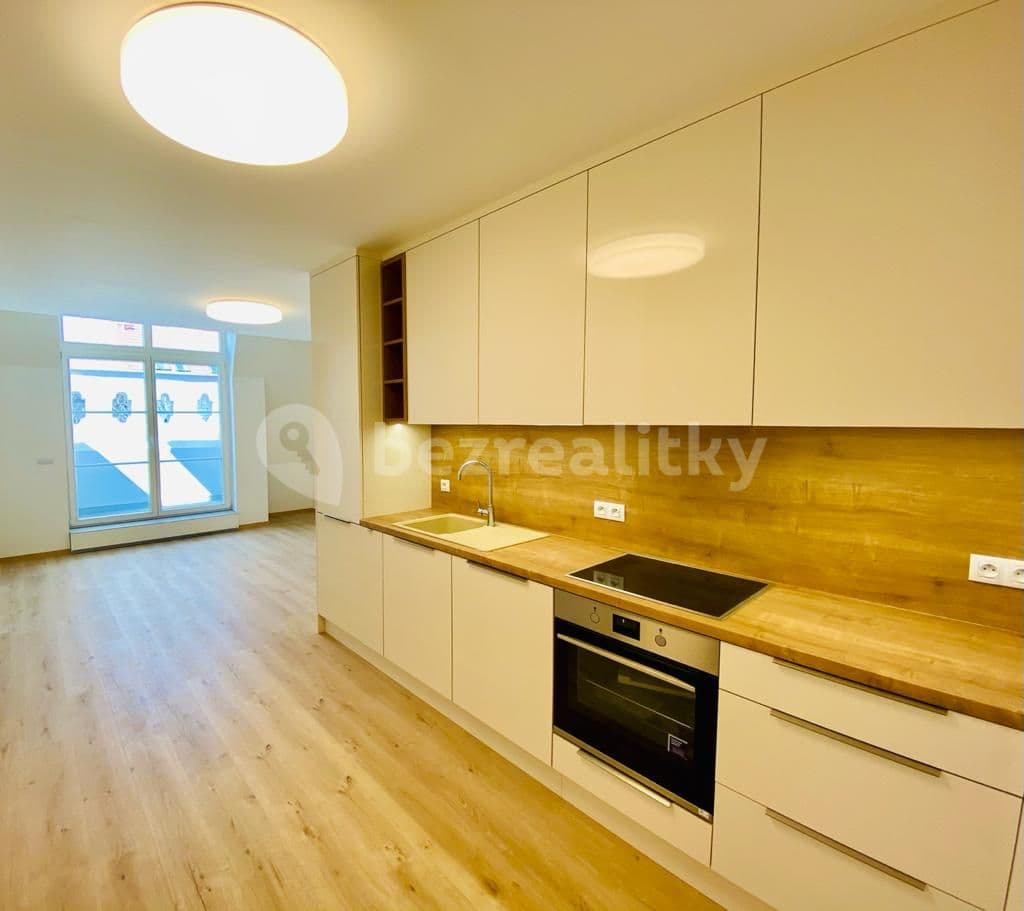 1 bedroom with open-plan kitchen flat to rent, 61 m², Šaldova, Prague, Prague 1 bedroom with open-plan kitchen flat to rent, 61 m², Šaldova, Prague, Prague