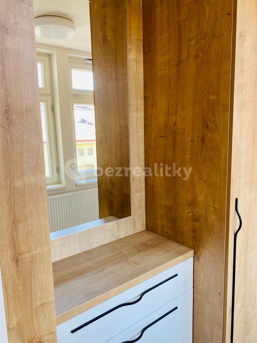1 bedroom with open-plan kitchen flat to rent, 61 m², Šaldova, Prague, Prague 1 bedroom with open-plan kitchen flat to rent, 61 m², Šaldova, Prague, Prague