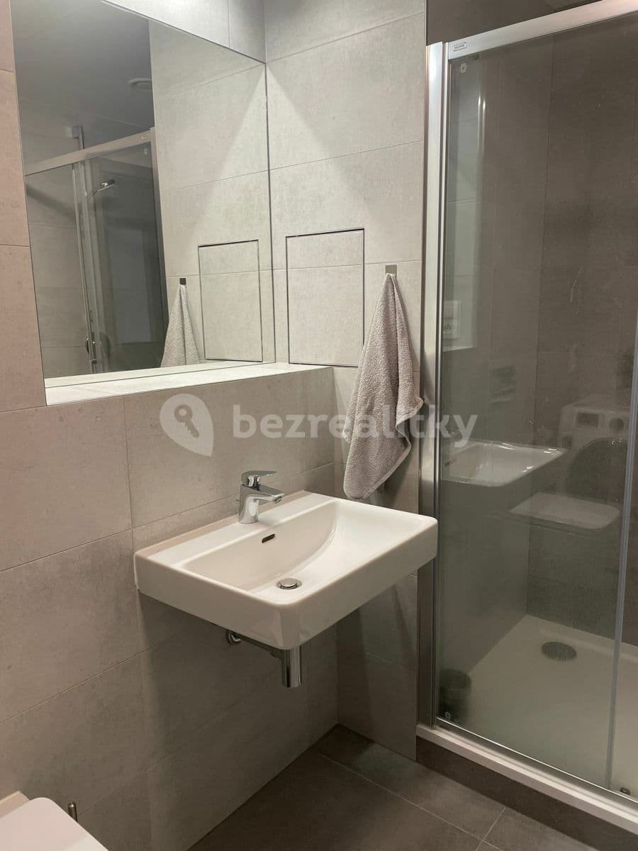 1 bedroom with open-plan kitchen flat to rent, 54 m², Naskové, Prague, Prague 1 bedroom with open-plan kitchen flat to rent, 54 m², Naskové, Prague, Prague