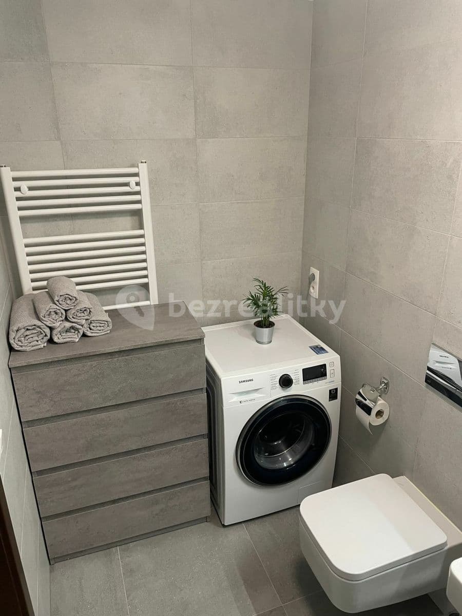 1 bedroom with open-plan kitchen flat to rent, 54 m², Naskové, Prague, Prague 1 bedroom with open-plan kitchen flat to rent, 54 m², Naskové, Prague, Prague