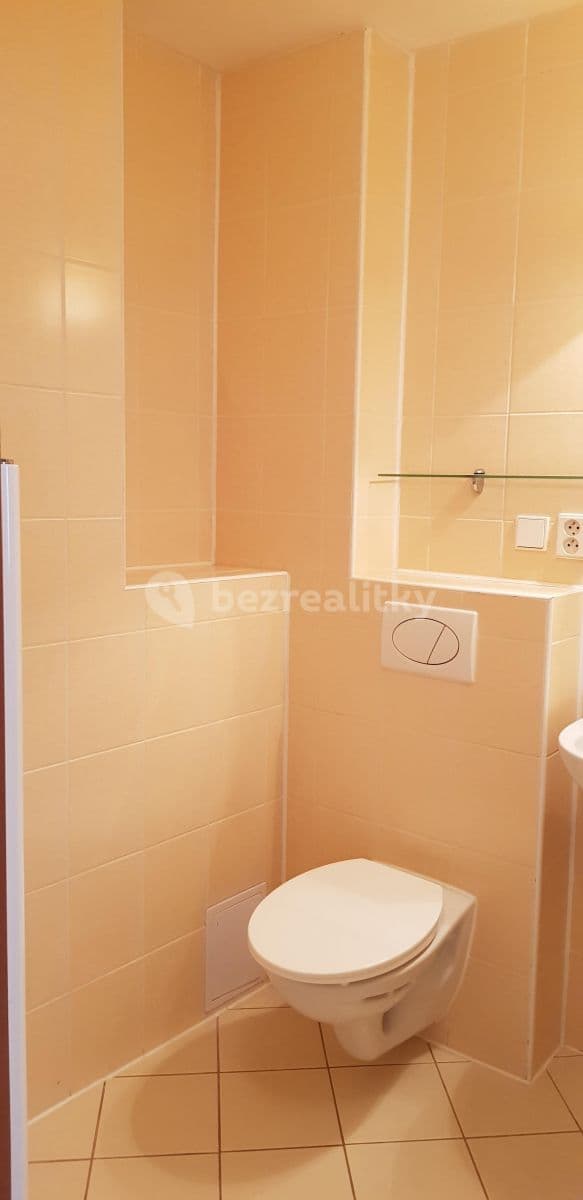 1 bedroom with open-plan kitchen flat to rent, 58 m², Hálkova, Plzeň, Plzeňský Region 1 bedroom with open-plan kitchen flat to rent, 58 m², Hálkova, Plzeň, Plzeňský Region