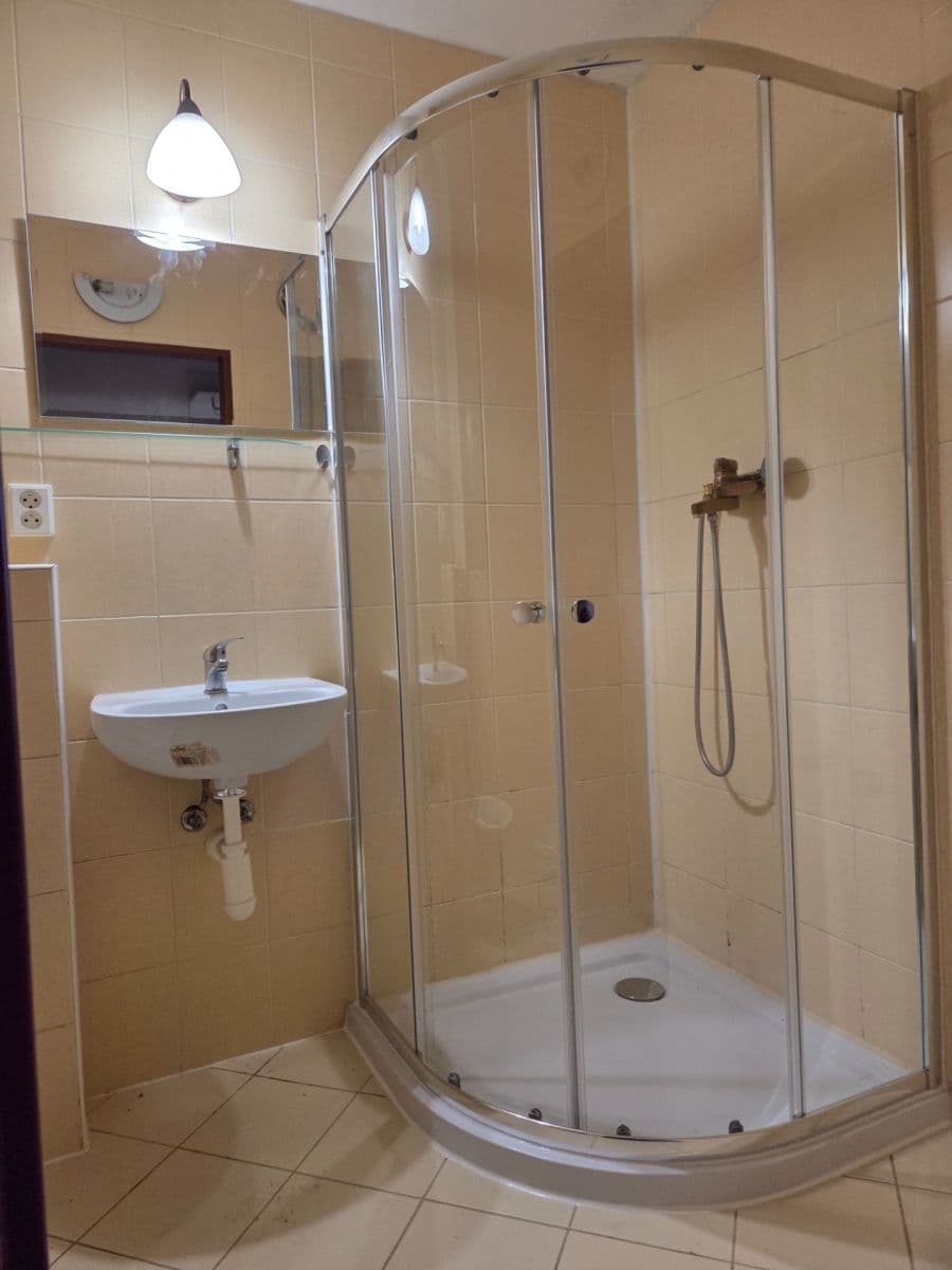 1 bedroom with open-plan kitchen flat to rent, 58 m², Hálkova, Plzeň, Plzeňský Region 1 bedroom with open-plan kitchen flat to rent, 58 m², Hálkova, Plzeň, Plzeňský Region