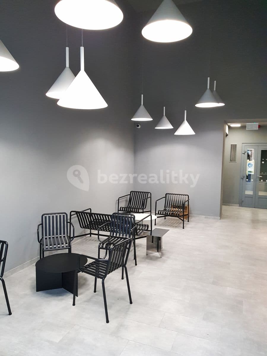 1 bedroom with open-plan kitchen flat to rent, 61 m², Mezi Vodami, Prague, Prague 1 bedroom with open-plan kitchen flat to rent, 61 m², Mezi Vodami, Prague, Prague