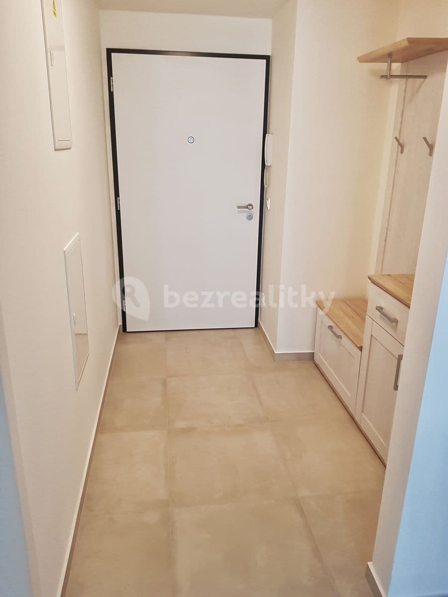 1 bedroom with open-plan kitchen flat to rent, 61 m², Mezi Vodami, Prague, Prague 1 bedroom with open-plan kitchen flat to rent, 61 m², Mezi Vodami, Prague, Prague