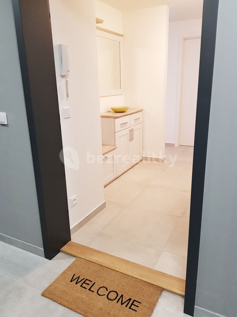 1 bedroom with open-plan kitchen flat to rent, 61 m², Mezi Vodami, Prague, Prague 1 bedroom with open-plan kitchen flat to rent, 61 m², Mezi Vodami, Prague, Prague