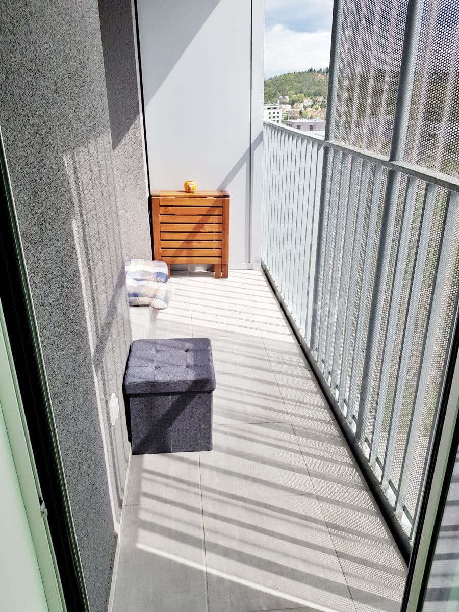 1 bedroom with open-plan kitchen flat to rent, 61 m², Mezi Vodami, Prague, Prague 1 bedroom with open-plan kitchen flat to rent, 61 m², Mezi Vodami, Prague, Prague