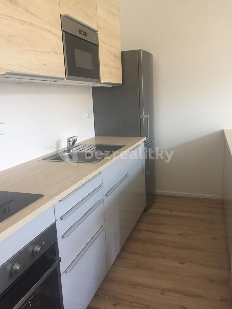 1 bedroom with open-plan kitchen flat to rent, 45 m², Veverkova, Prague, Prague 1 bedroom with open-plan kitchen flat to rent, 45 m², Veverkova, Prague, Prague