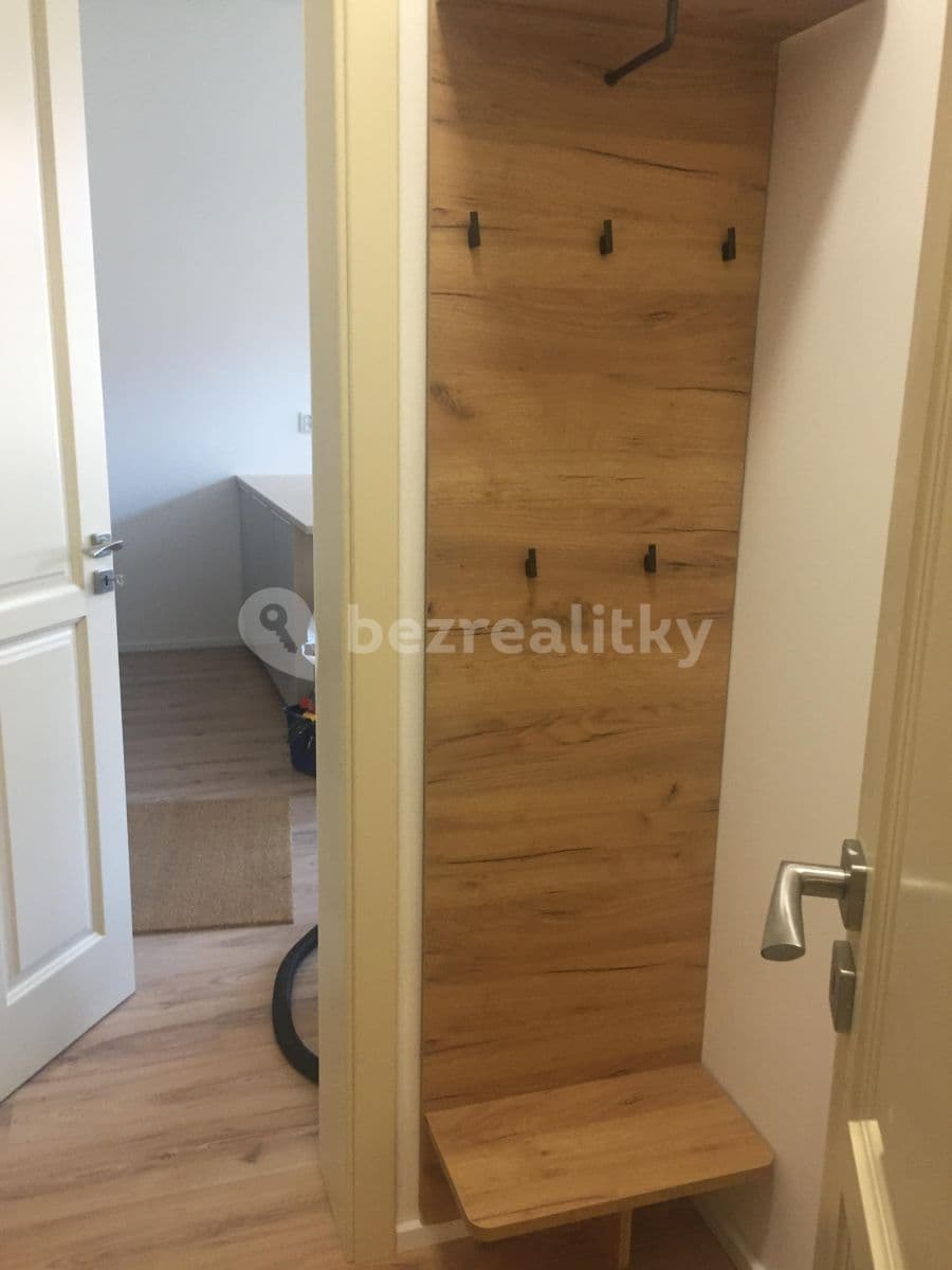 1 bedroom with open-plan kitchen flat to rent, 45 m², Veverkova, Prague, Prague 1 bedroom with open-plan kitchen flat to rent, 45 m², Veverkova, Prague, Prague